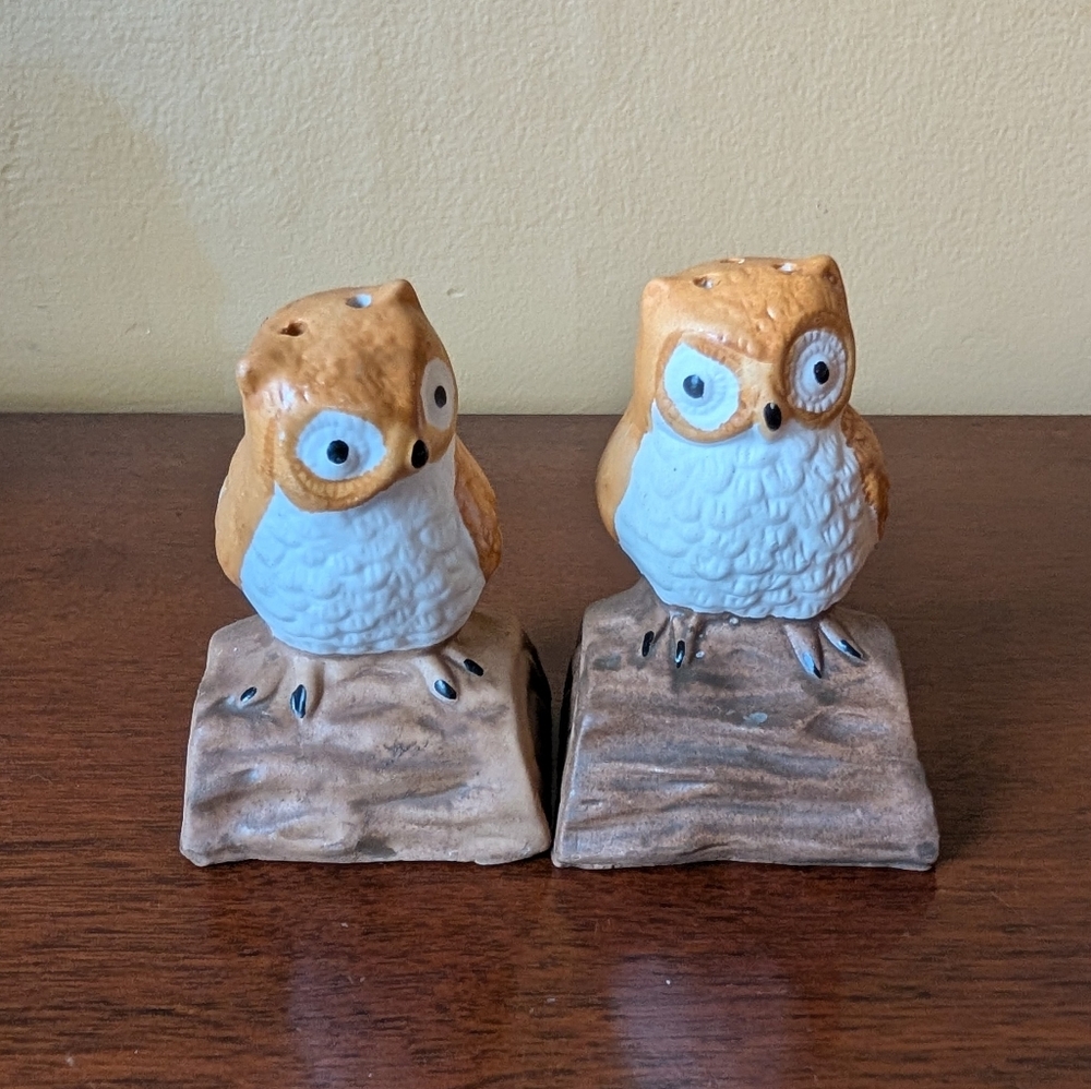 Vintage Ceramic Owls on a Tree Branch Salt & Pepper Shakers- Taiwan 1970’s